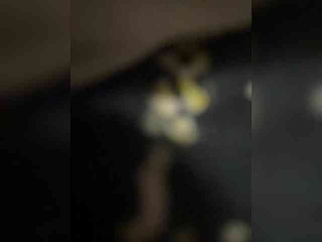 _POLUSLADKOE_ webcam