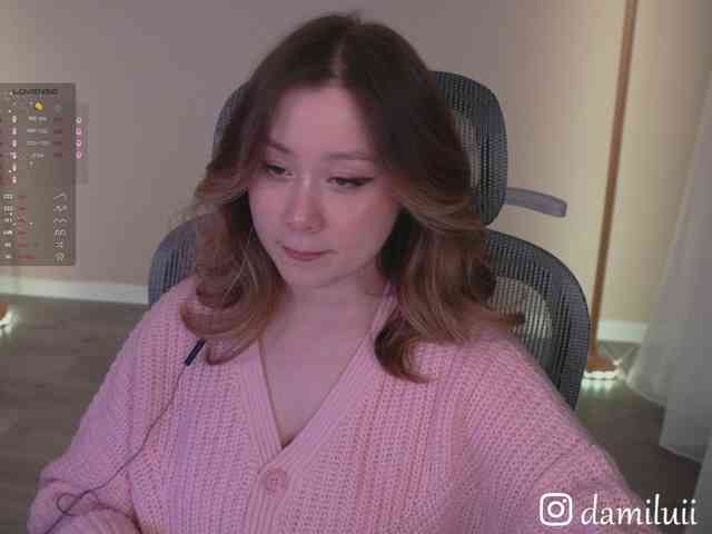 damilui webcam