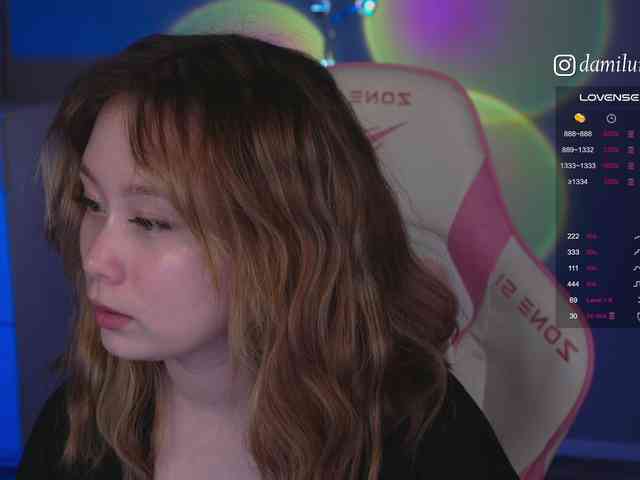 damilui webcam