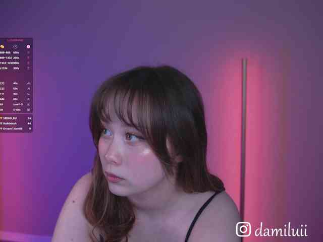 damilui webcam