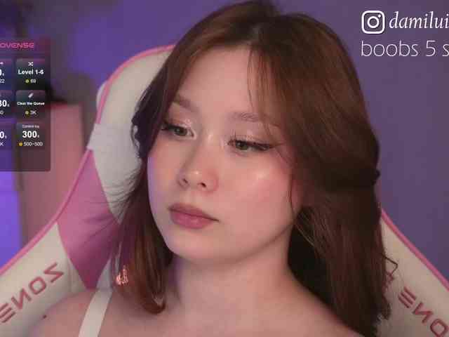 damilui webcam