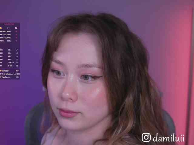damilui webcam