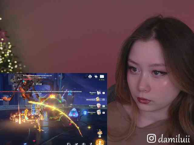 damilui webcam