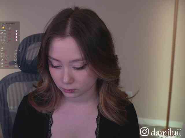 damilui webcam