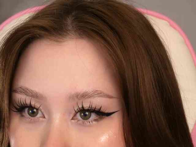 damilui webcam