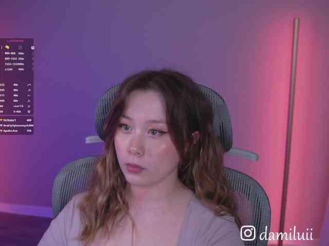 damilui webcam