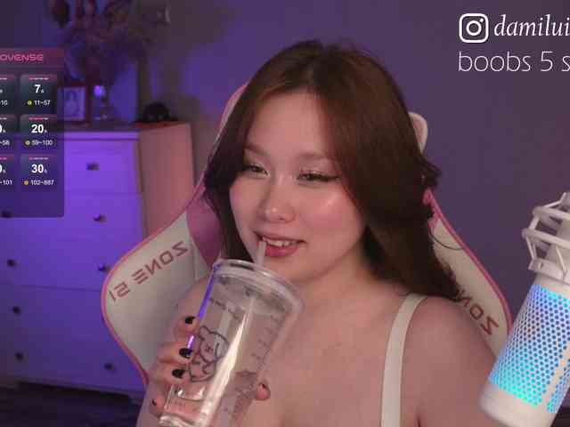 damilui webcam