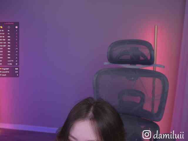 damilui webcam