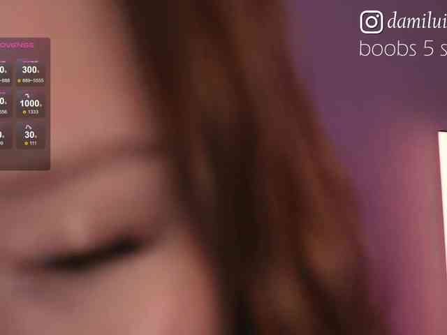 damilui webcam