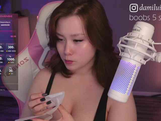 damilui webcam