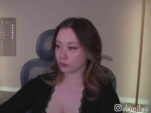 damilui webcam