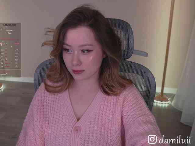 damilui webcam