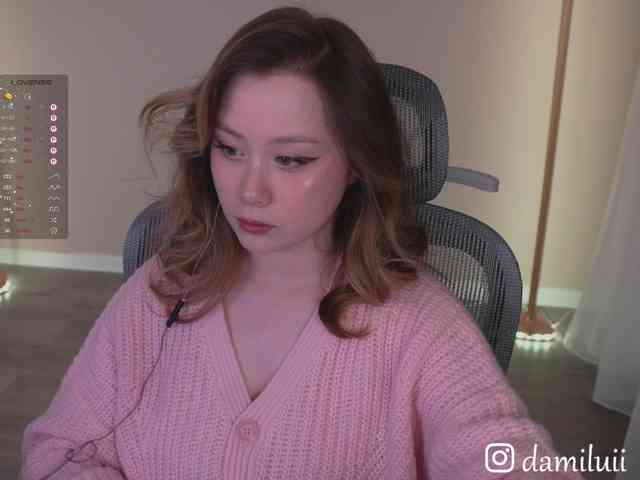 damilui webcam