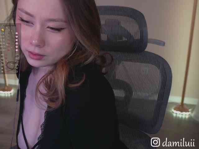 damilui webcam