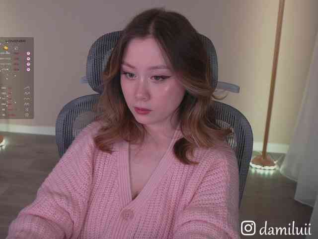 damilui webcam