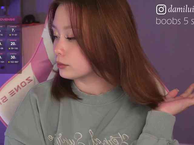 damilui webcam