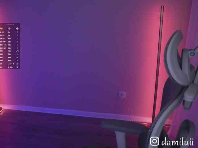 damilui webcam