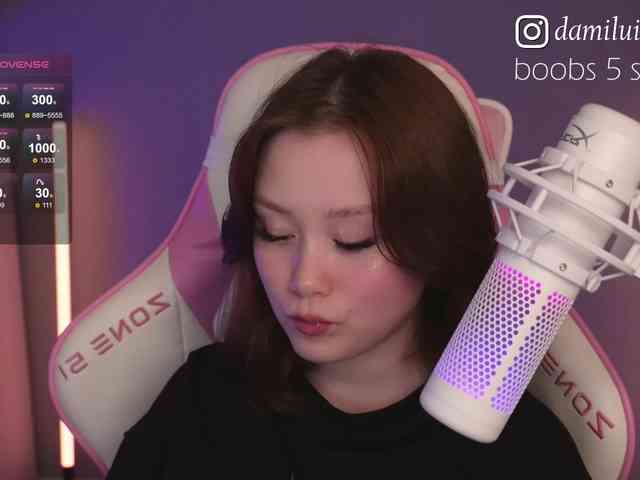 damilui webcam