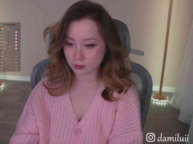 damilui webcam