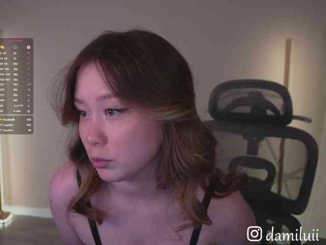 damilui webcam