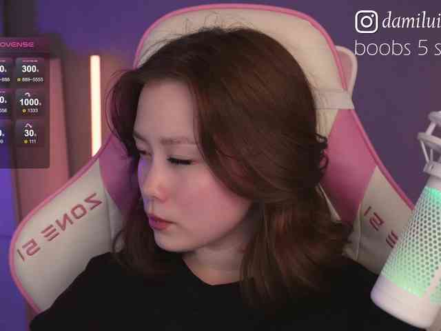 damilui webcam