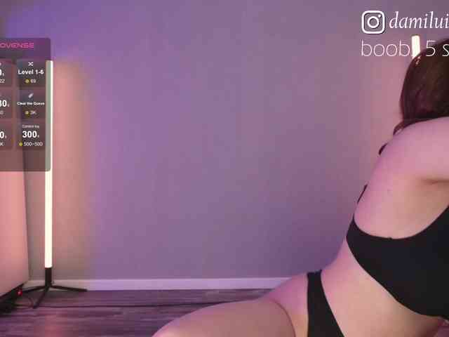 damilui webcam
