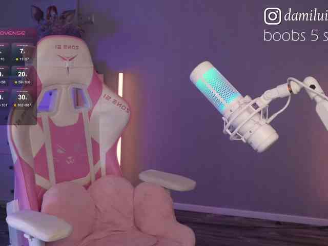 damilui webcam