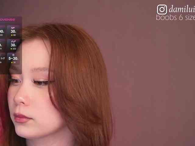 damilui webcam