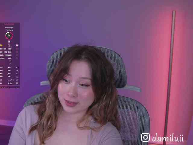 damilui webcam
