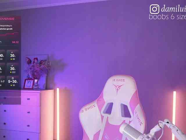 damilui webcam