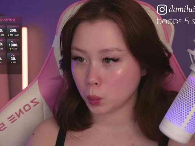 damilui webcam