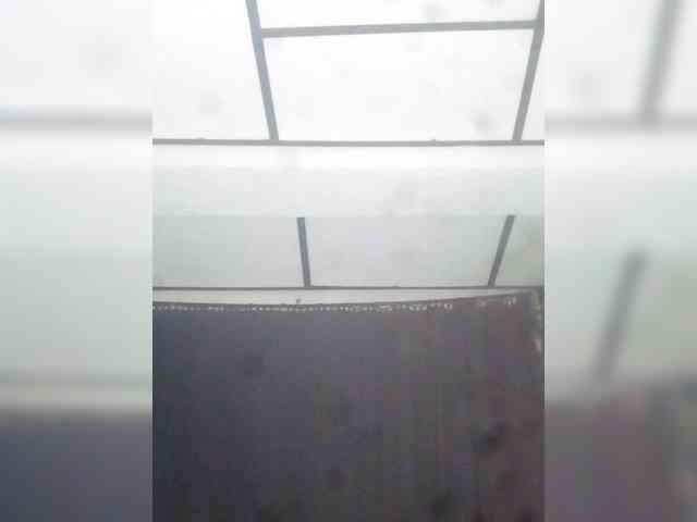 kendalCutex webcam