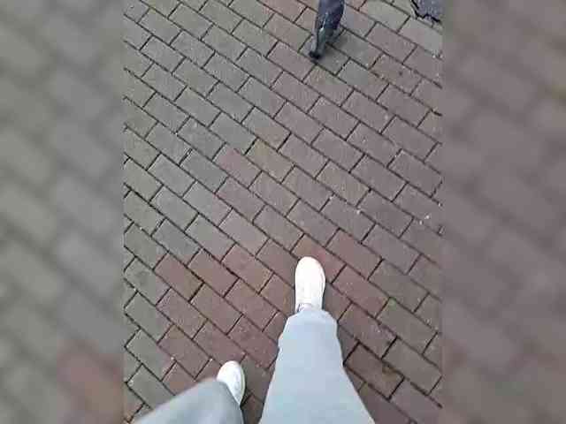 DIVORA webcam