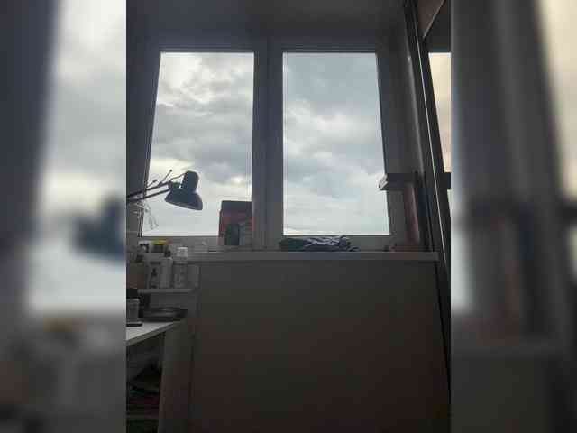 -INDICA- webcam