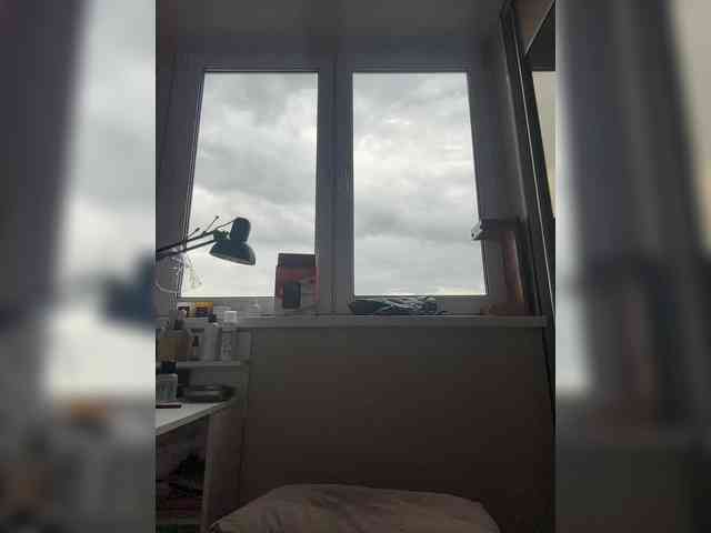 -INDICA- webcam