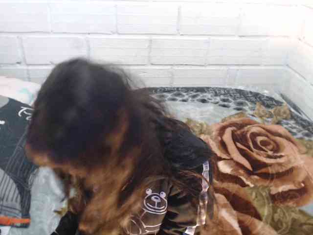 Sexyjustin202 webcam