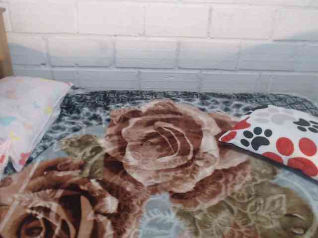 Sexyjustin202 webcam