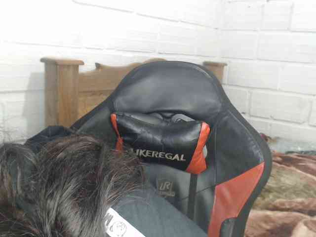 Sexyjustin202 webcam