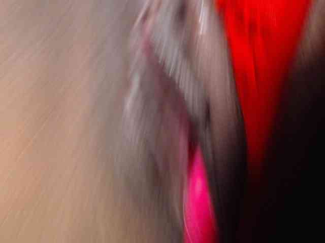 Sexyjustin202 webcam