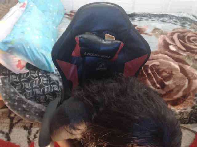 Sexyjustin202 webcam