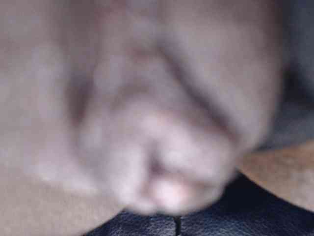 Sexyjustin202 webcam