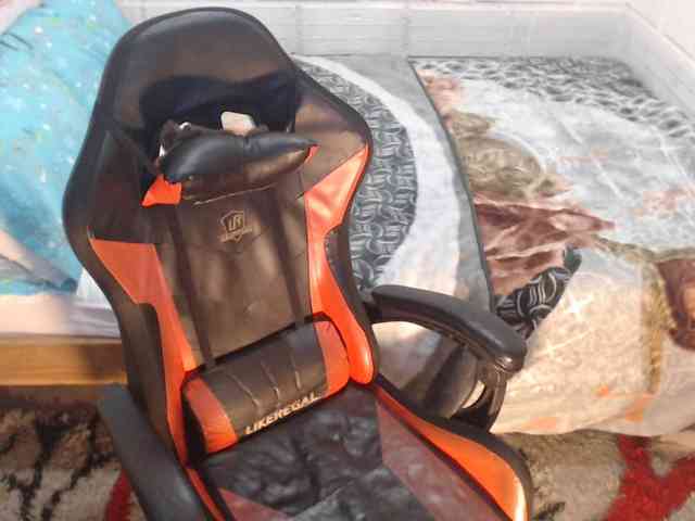 Sexyjustin202 Live Webcam on BongaCams