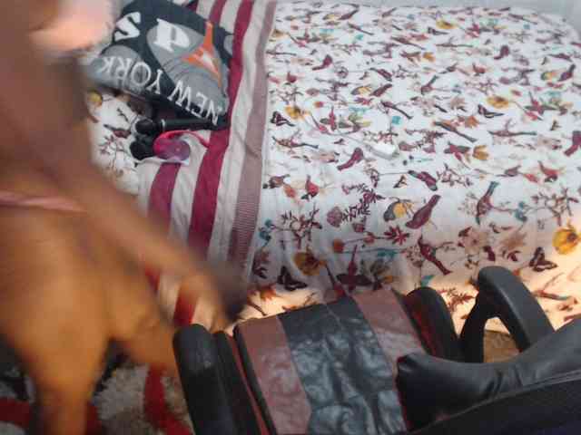 Sexyjustin202 webcam