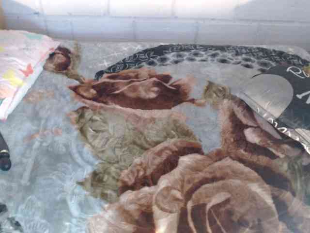 Sexyjustin202 webcam