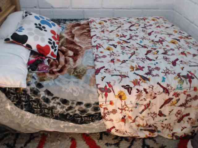 Sexyjustin202 Sexyjustin202