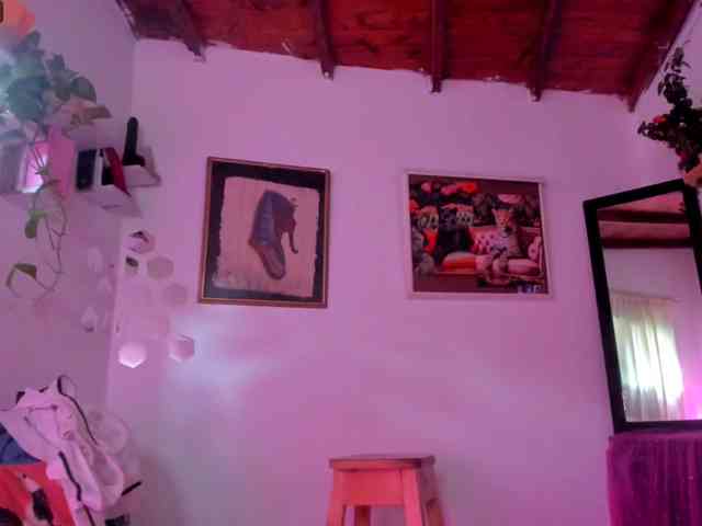 srsexy webcam
