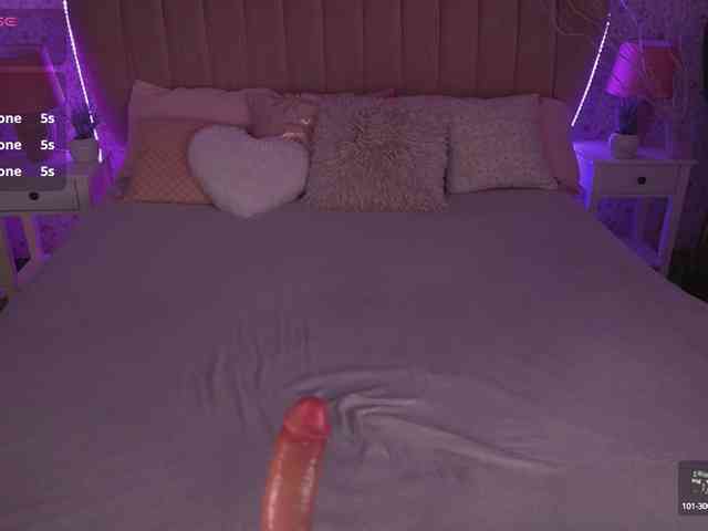 WildLora webcam