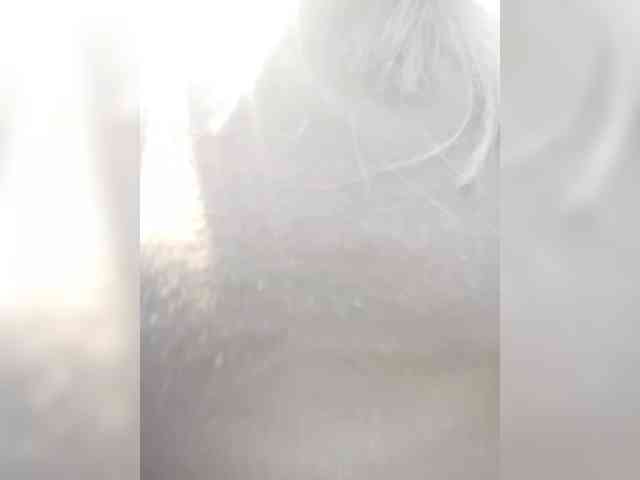 OR- webcam