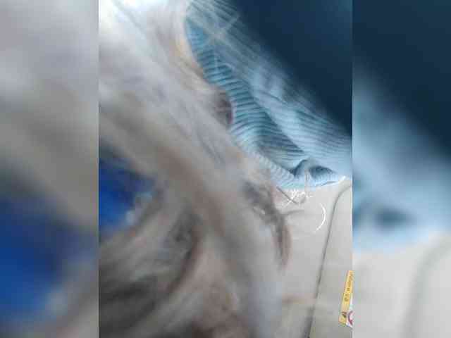 Bonne-Aurore webcam