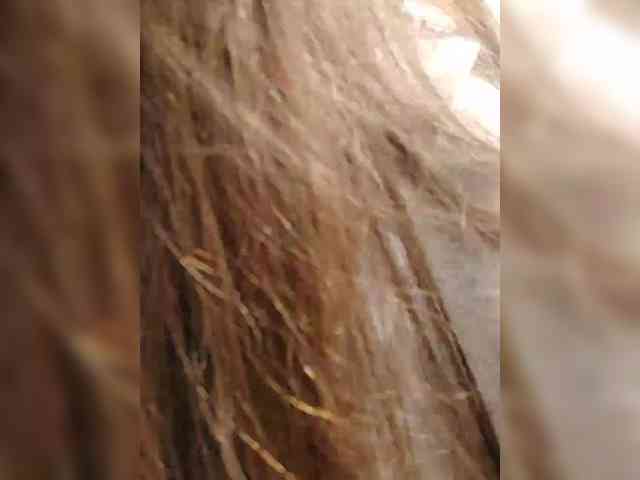 Bonne-Aurore webcam